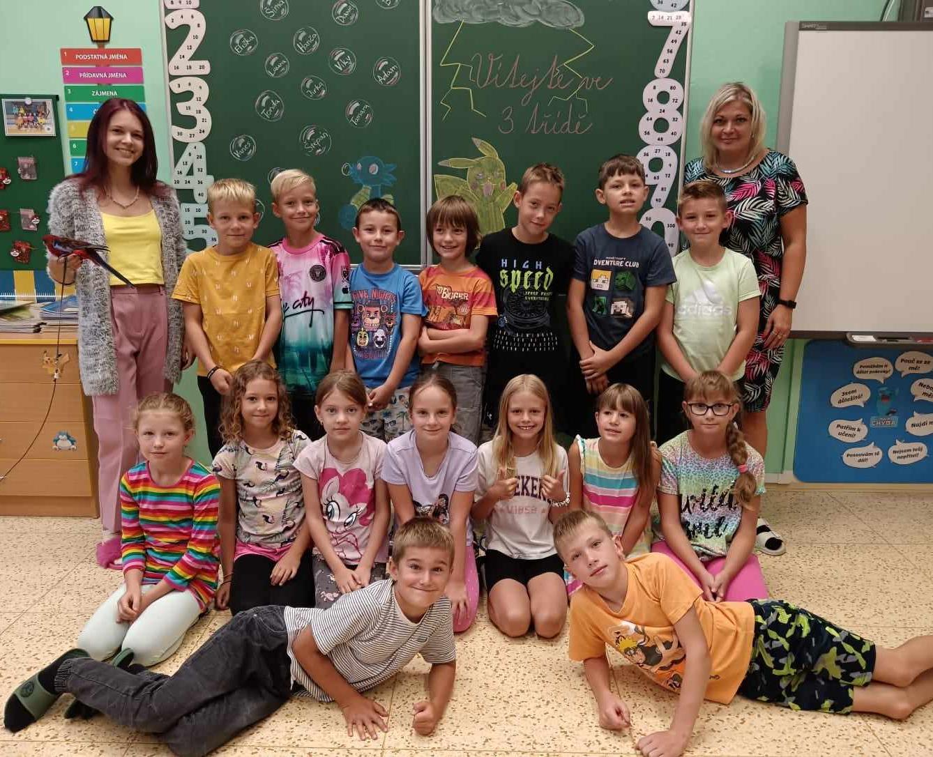 Barevný týden - papouškové pondělí - 4