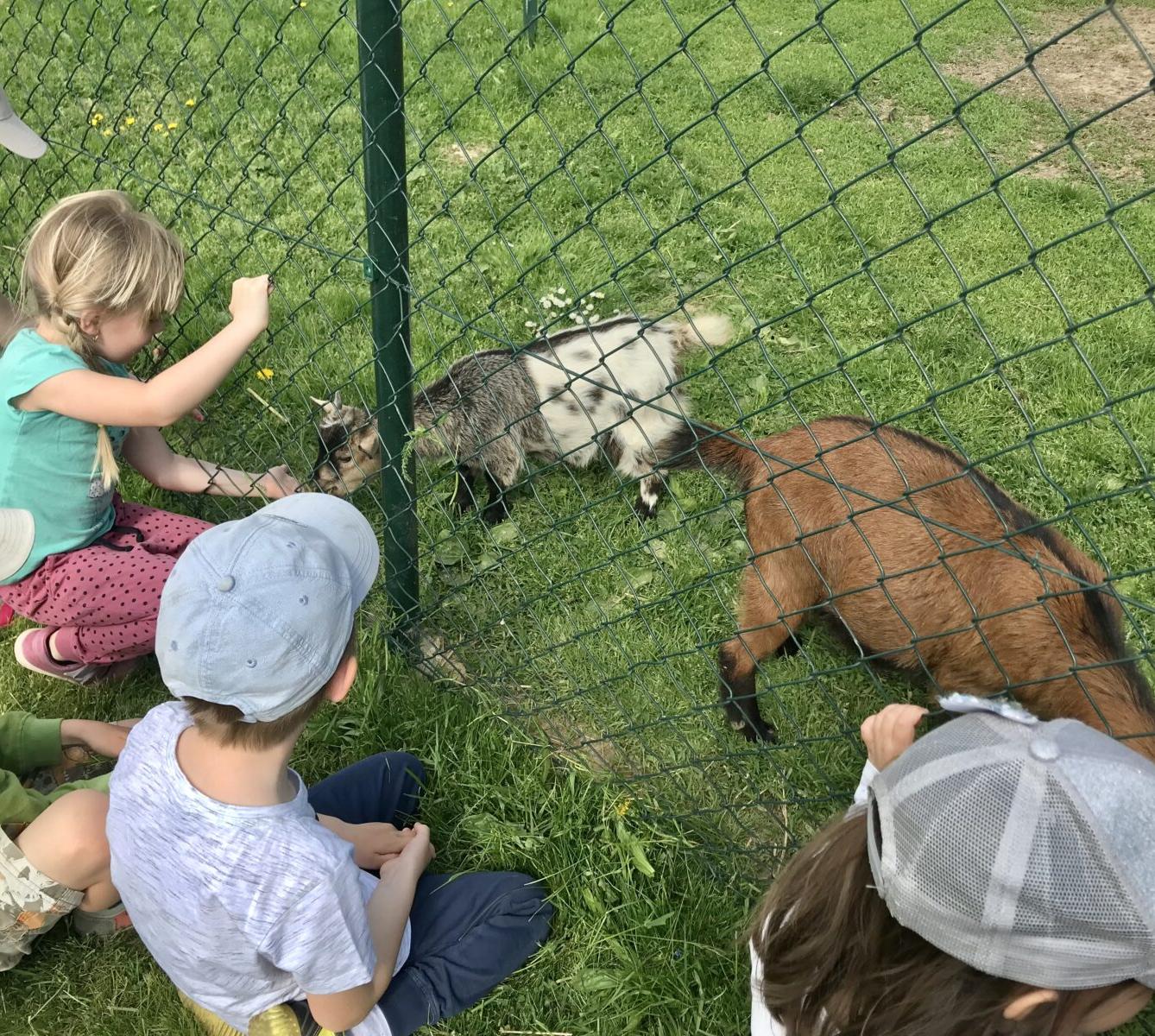 SOVIČKY: ,,MÁME RÁDI ZVÍŘATA" - 40