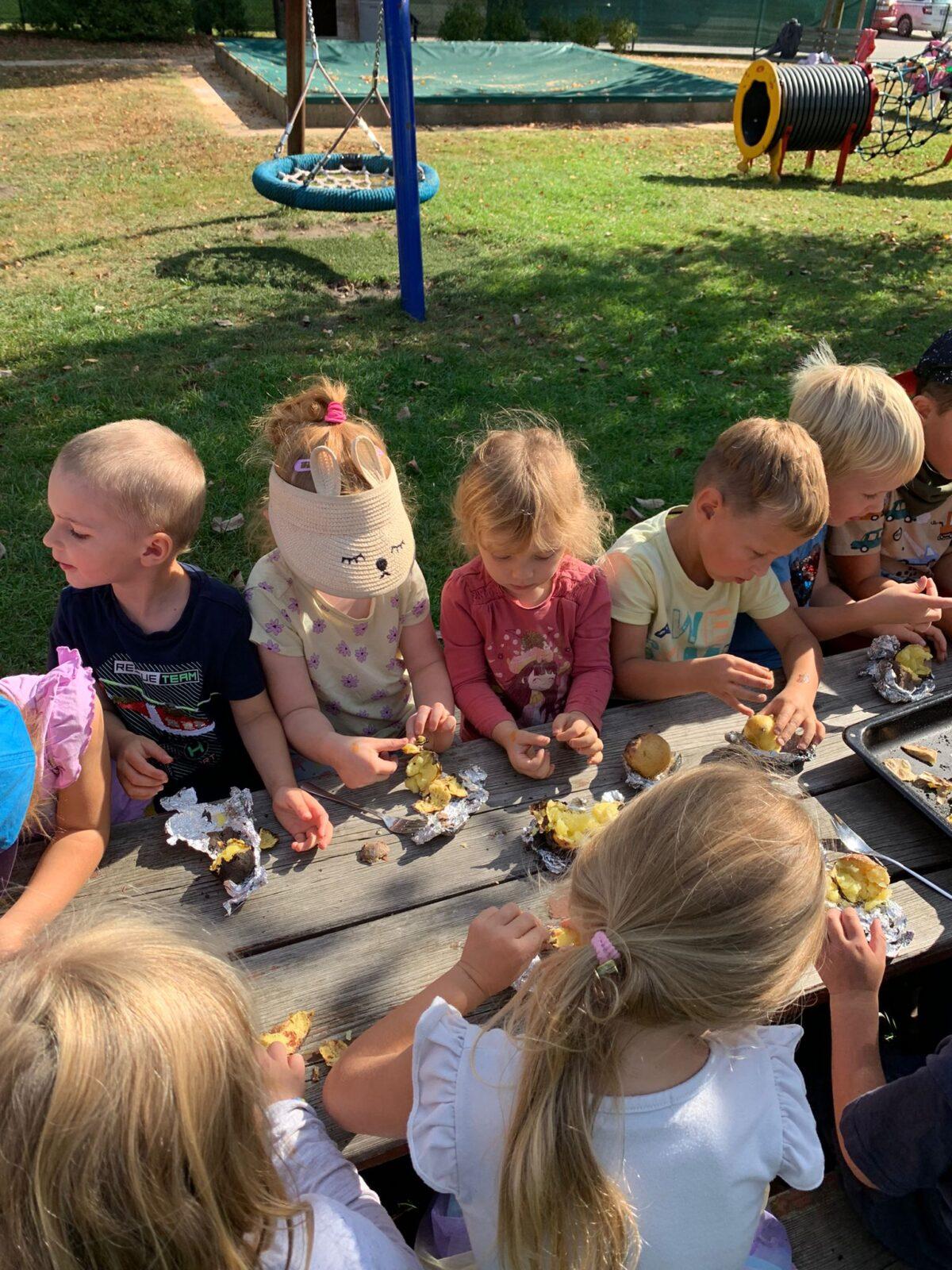 Ohníčkohraní a pečení brambor... - 14