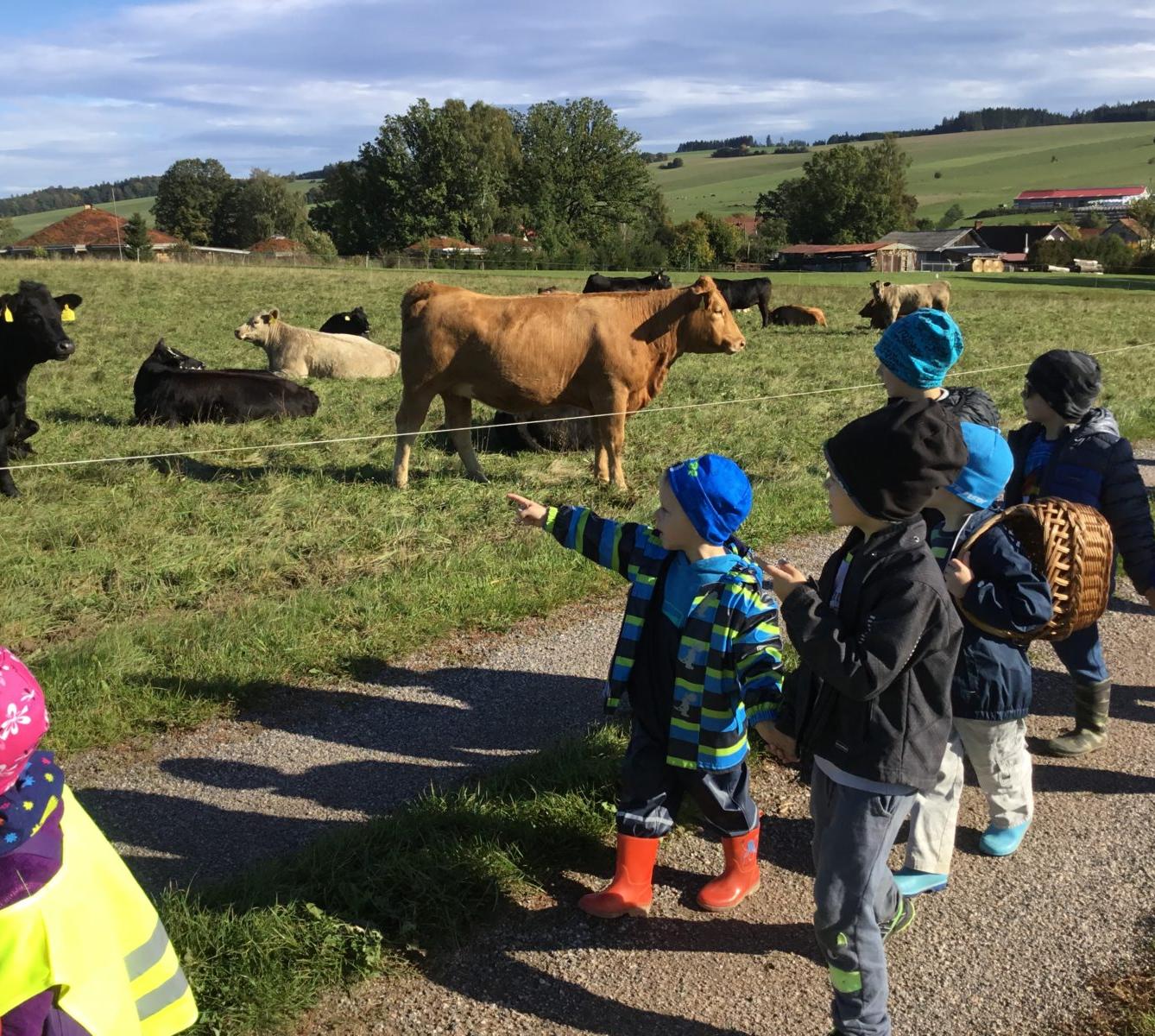 "Kam chodí broučci spát" - 44