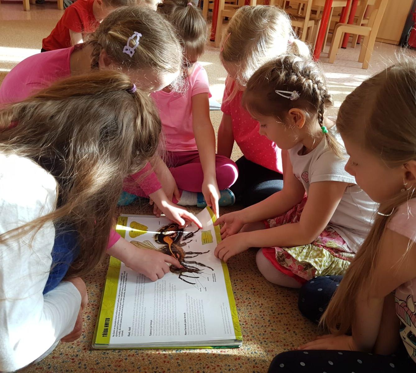 SOVIČKY: ROZVOJ ČTENÁŘSKÉ GRAMOTNOSTI V MŠ - ZVÍŘATA - 35