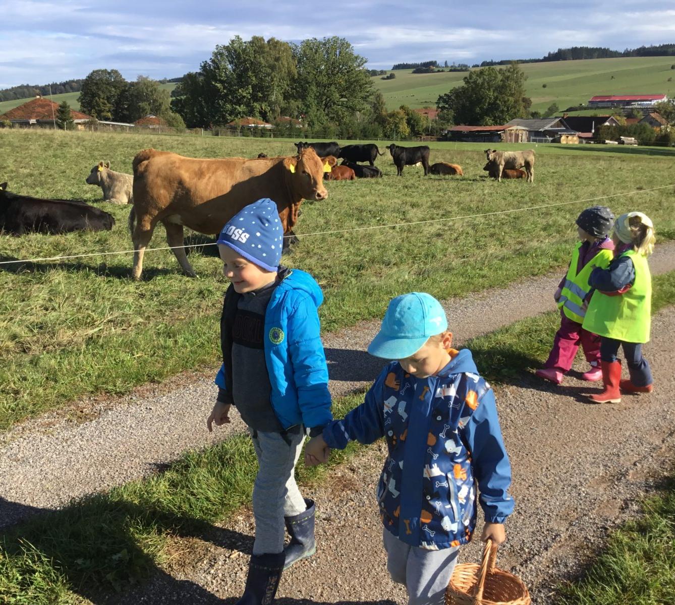 "Kam chodí broučci spát" - 45