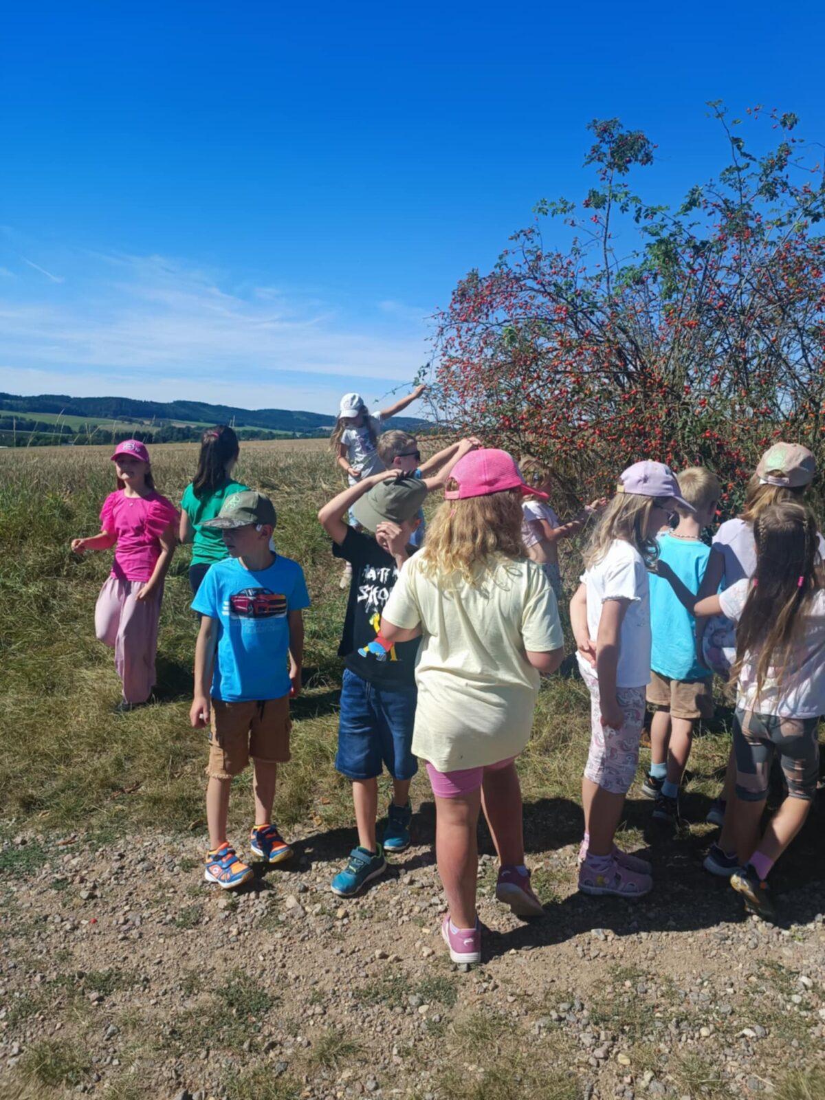 ŠKOLNÍ DRUŽINA - 2. ODDĚLENÍ -PODZIM - 35