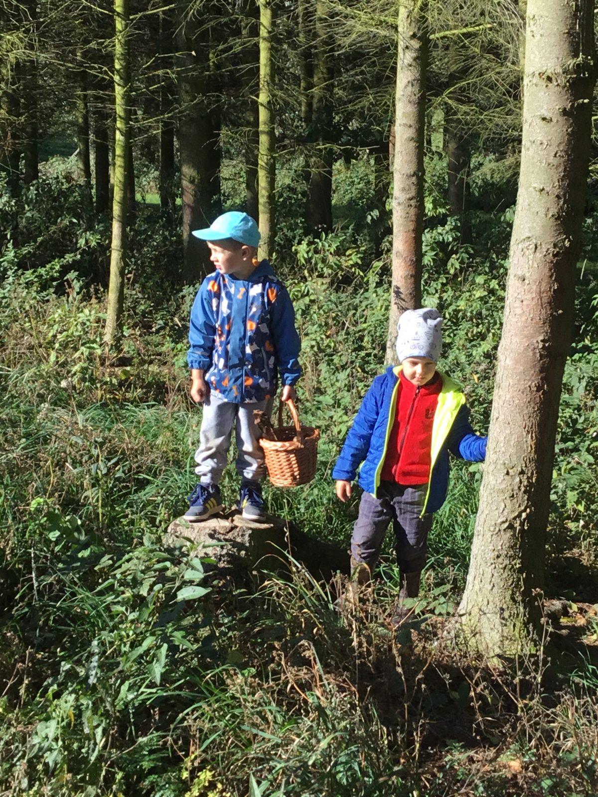 "Kam chodí broučci spát" - 48