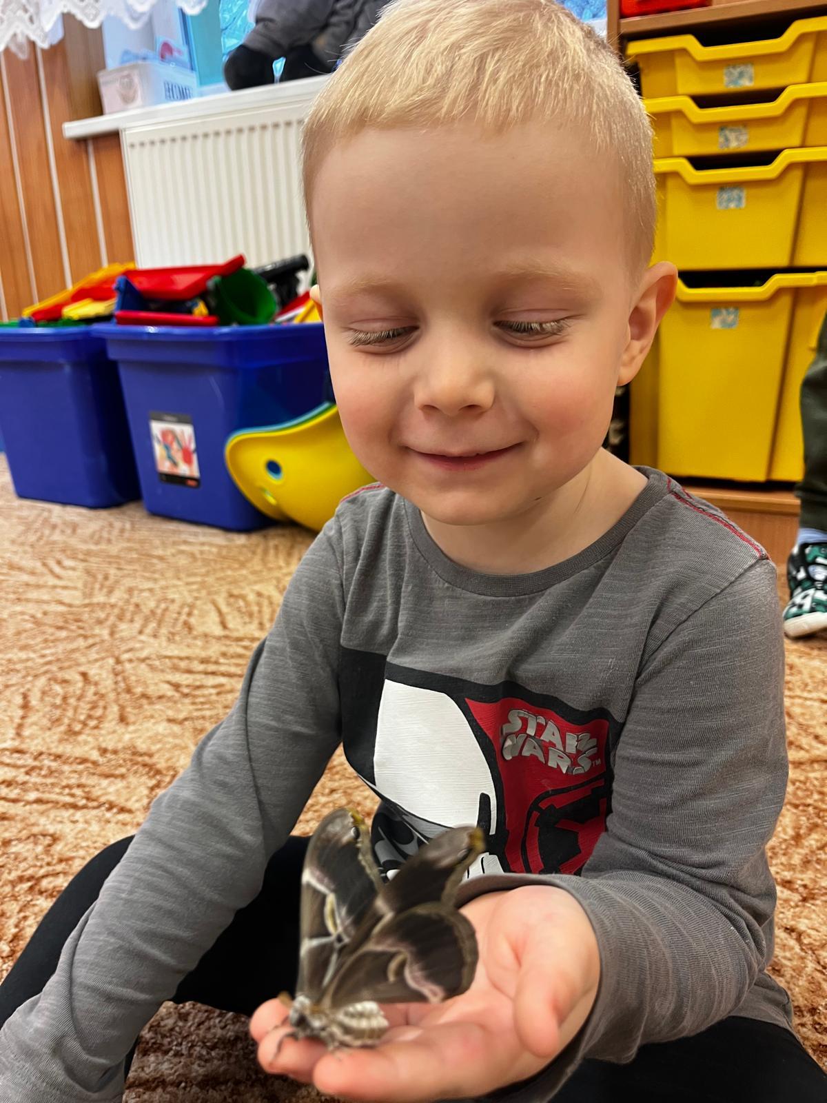 líhnutí motýlů ve školce - 8