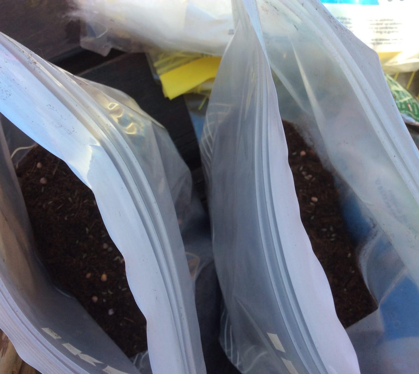 Ekohraní - den 4. - 6