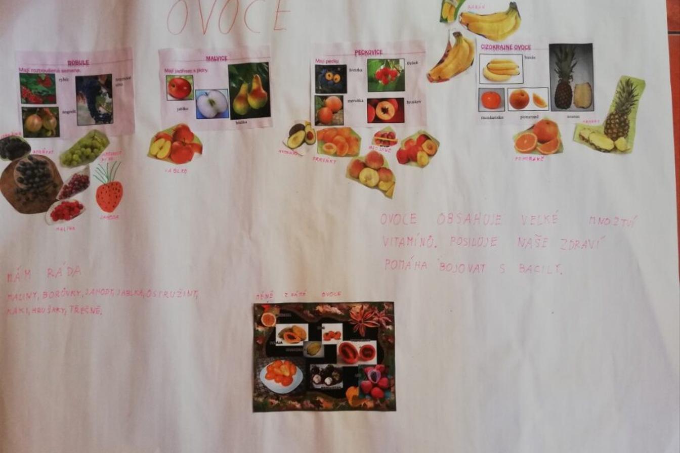 Výstupy druháčků z domácího učení 24. 5.