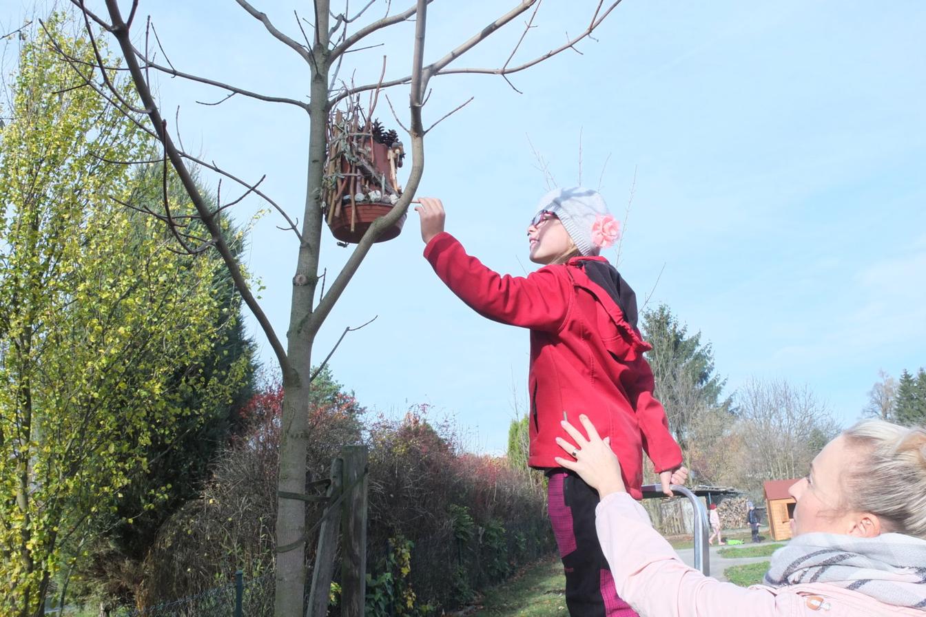 Sázení keříků s rodiči