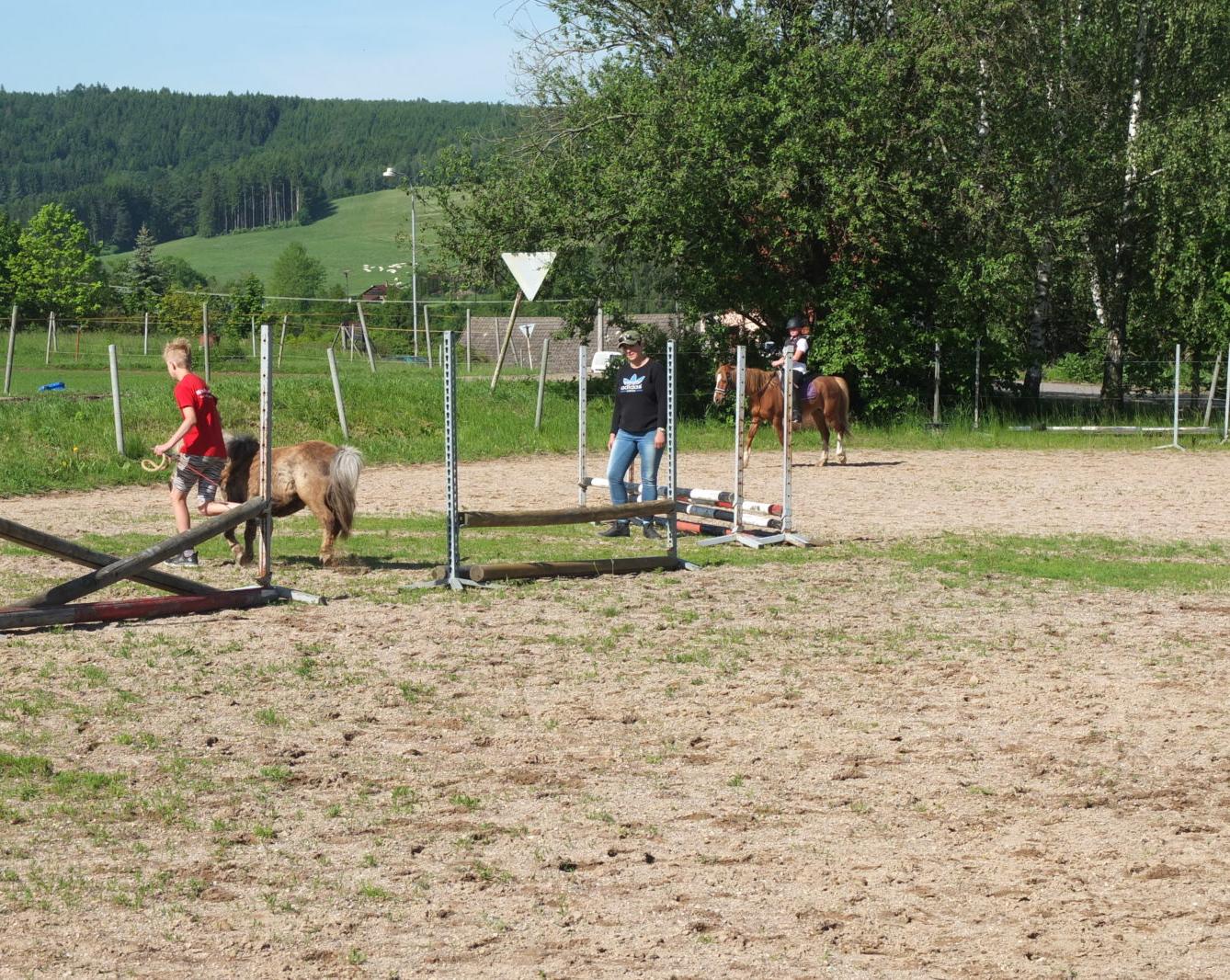 Na koních 2019 - 12