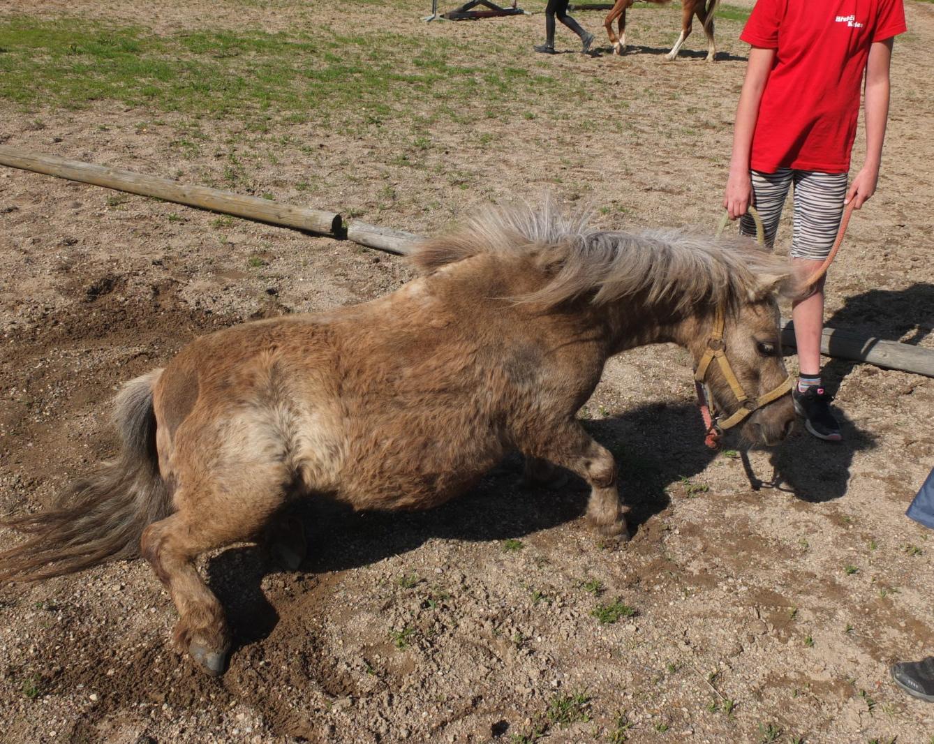 Na koních 2019 - 23