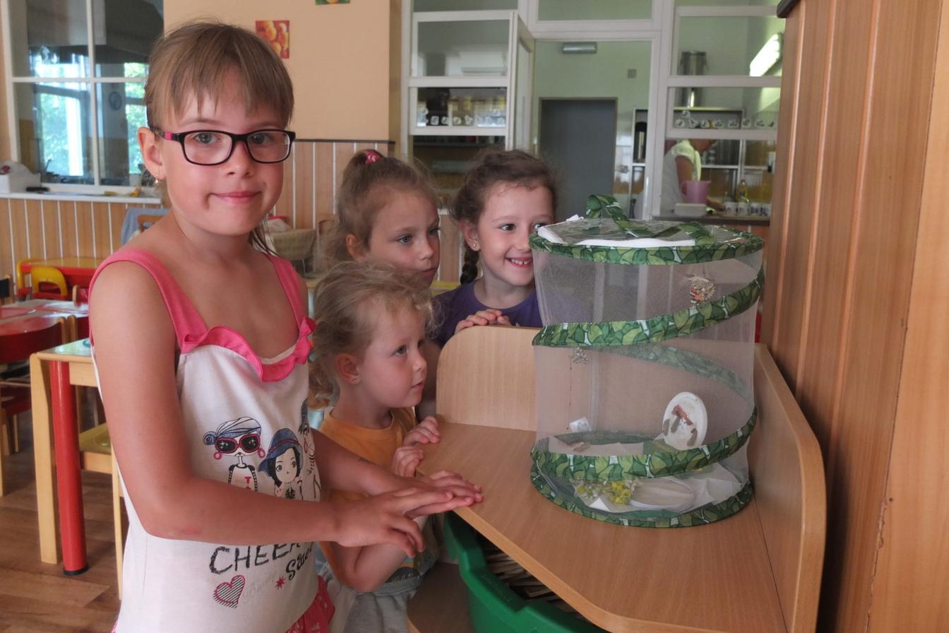 Kouzlo-přeměna housenek v kukly a vypouštění motýlků