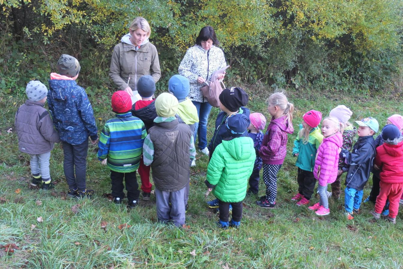 Návštěva kaštanky