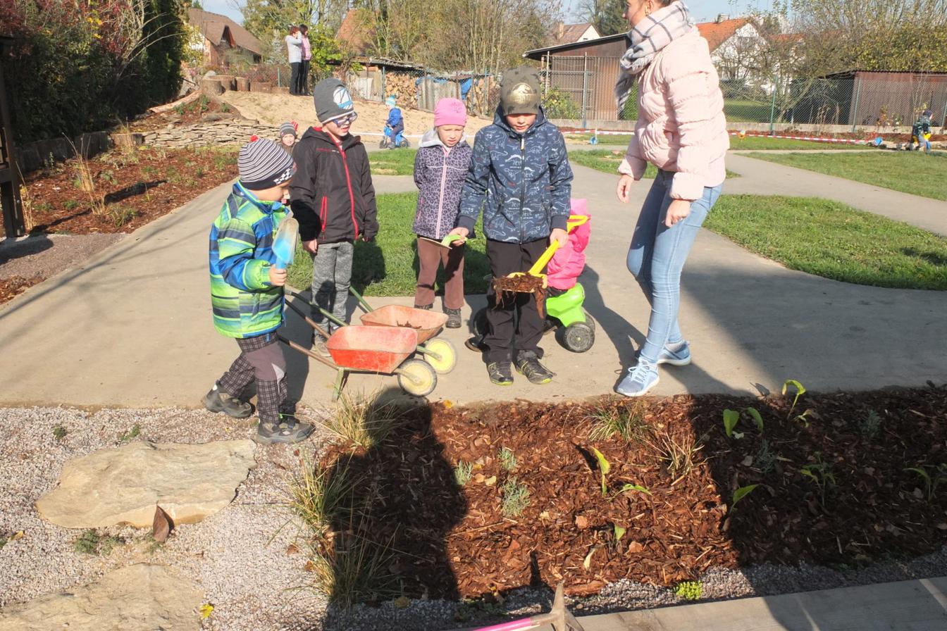 Sázíme bylinky na zahradě