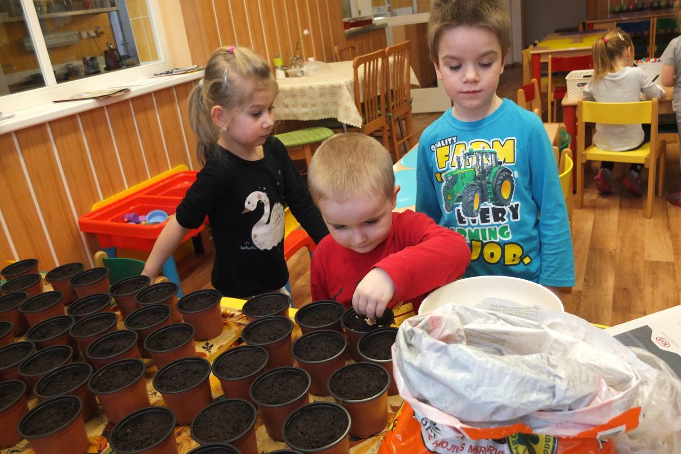 Jaro 2018, setí semínek a příprava na Velikonoce