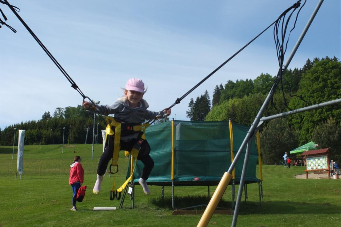 Výlet do Pinguin parku