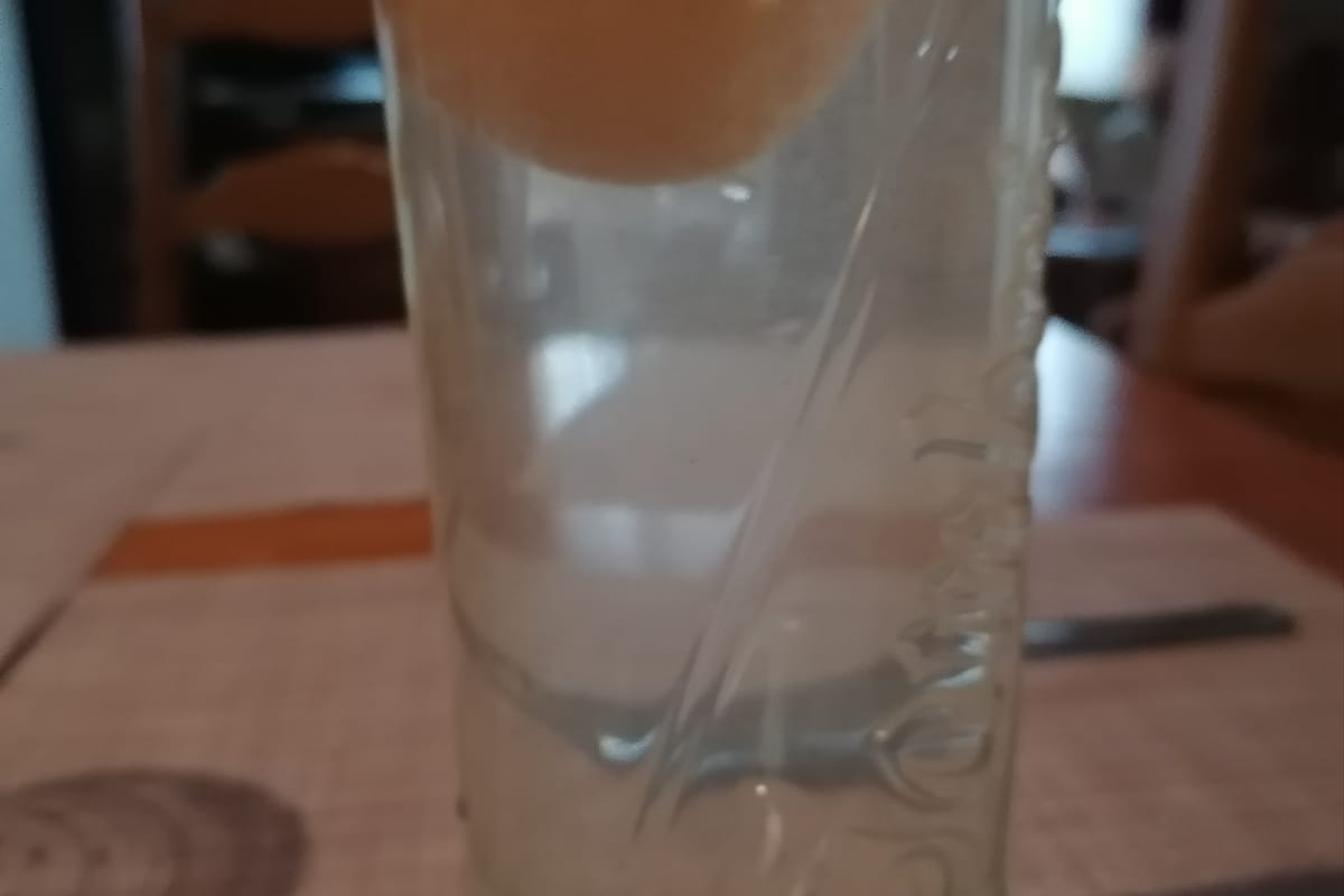 Projektový den svatý Martin a týden pokusů v 5.A