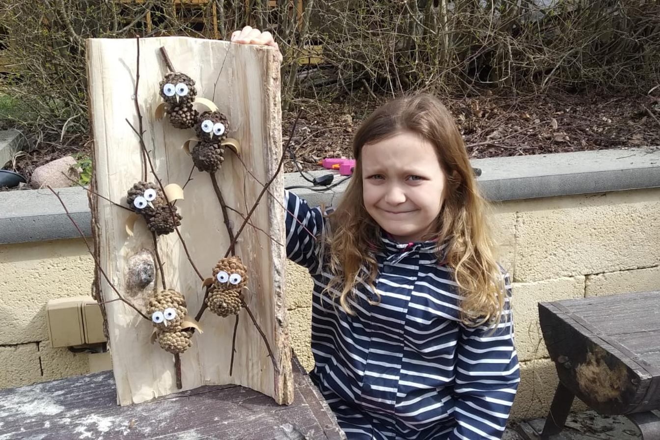 Aktivity druháčků v rámci domácího učení - pokračování