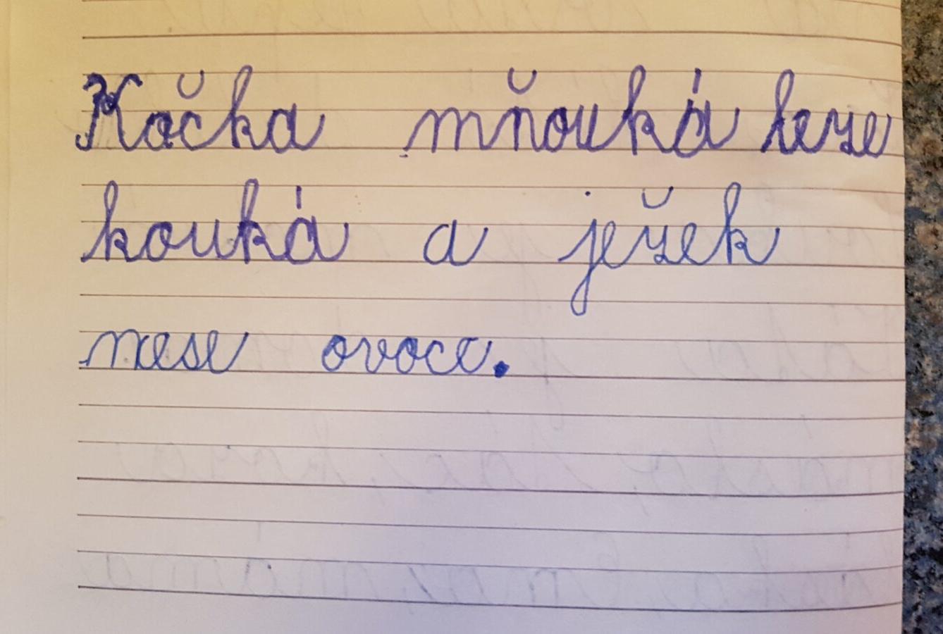 Domškoláctví u prvňáků - 12