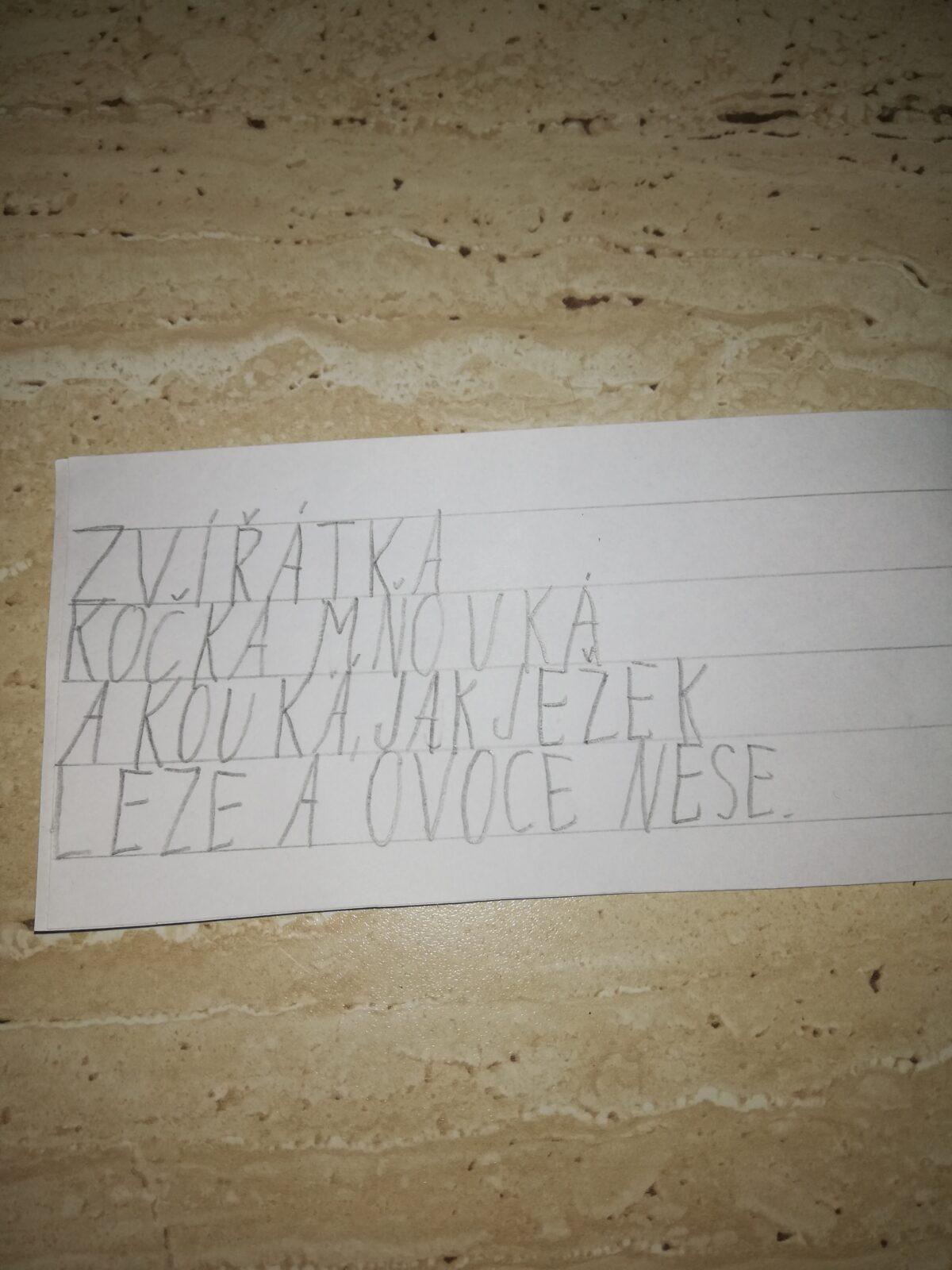 Domškoláctví u prvňáků - 16