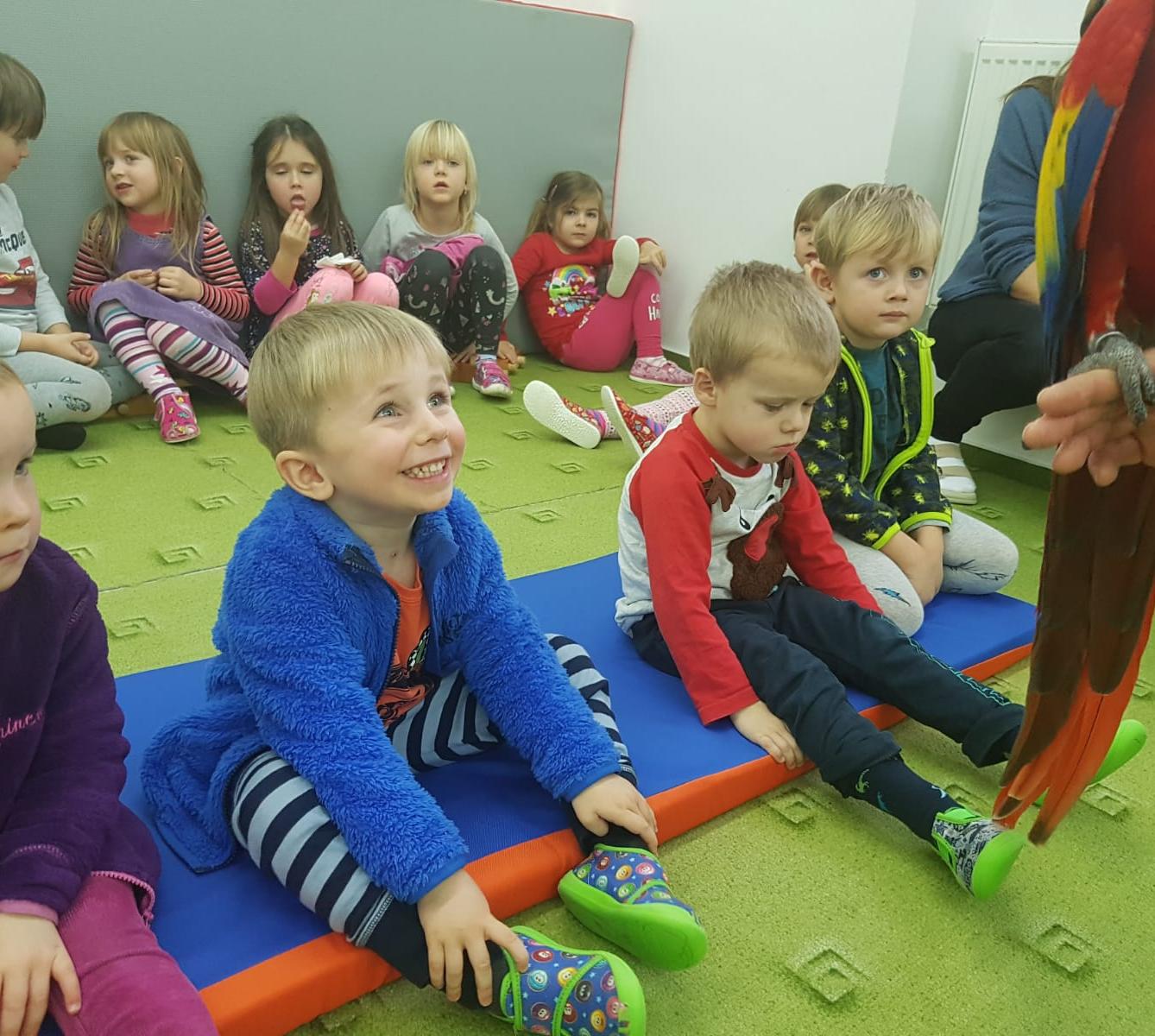 Papoušci v MŠ - 20