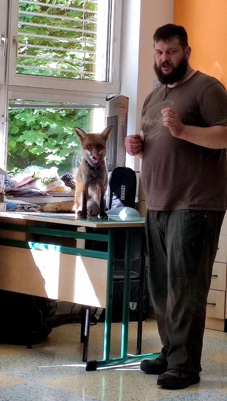 31. 5., Liška u prvňáčků - 28