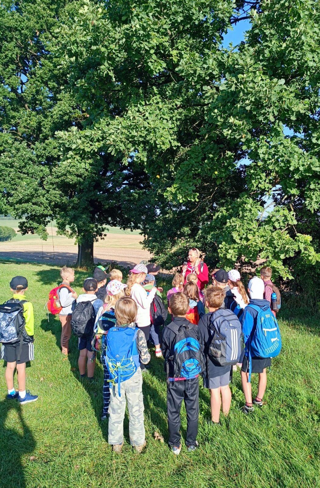 8. 9. Stopovaná s opékáním - 33