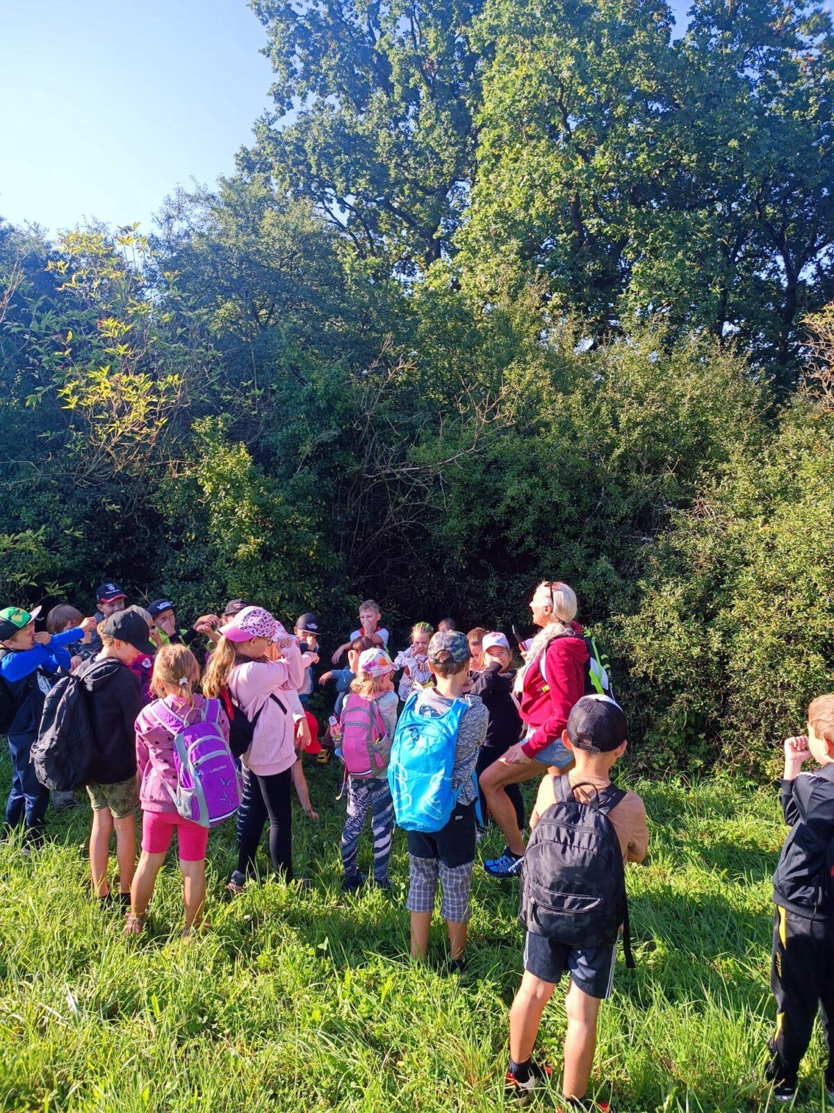 8. 9. Stopovaná s opékáním - 36