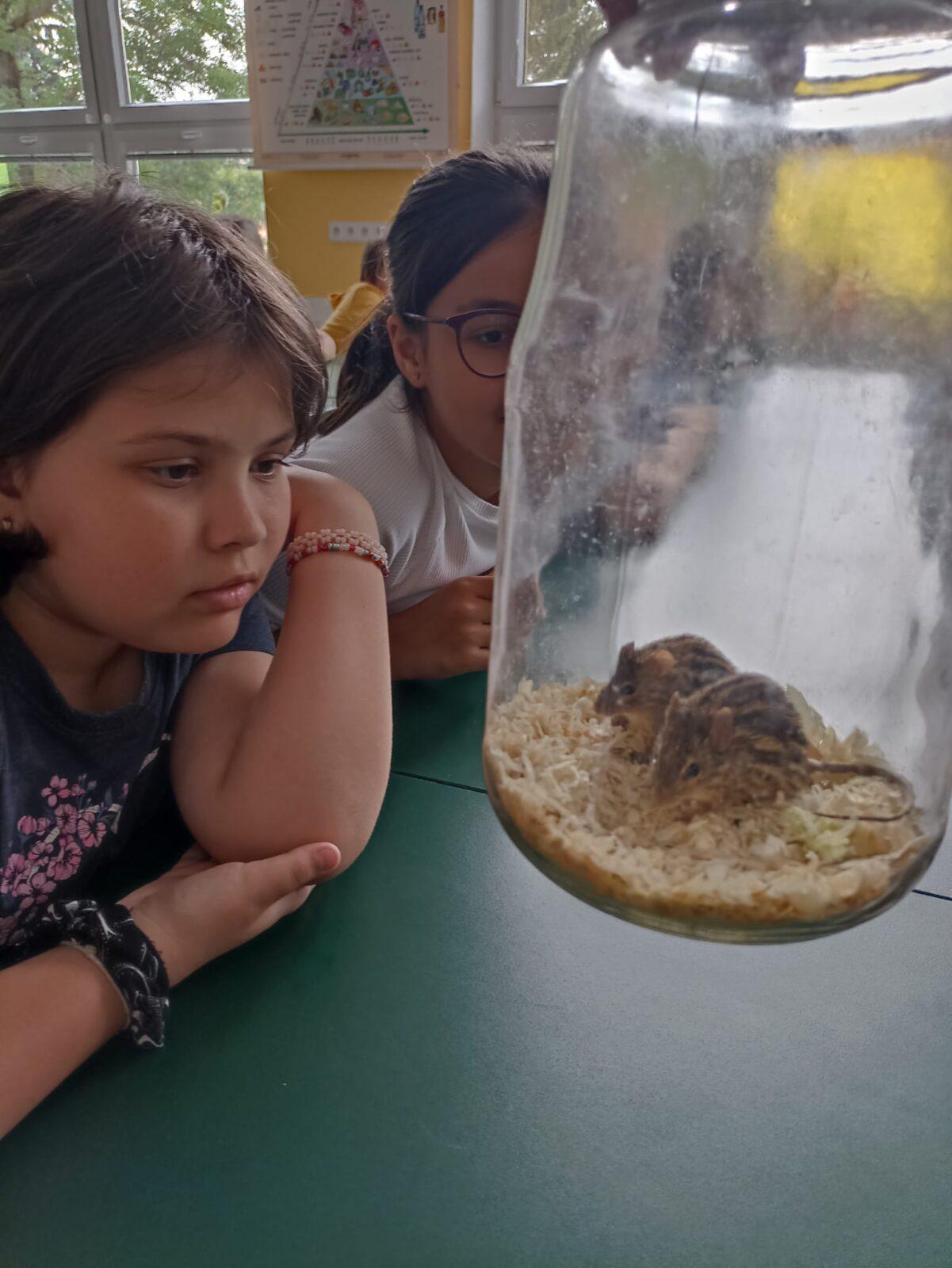 Exotická zvířata pro 3. a 4. třídu - 13