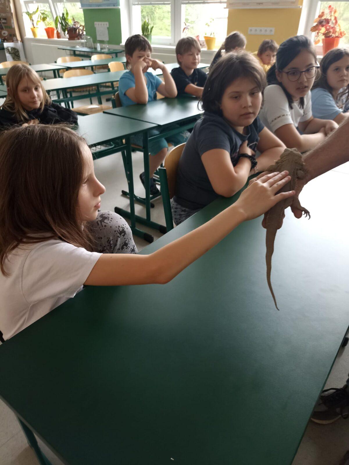 Exotická zvířata pro 3. a 4. třídu - 15