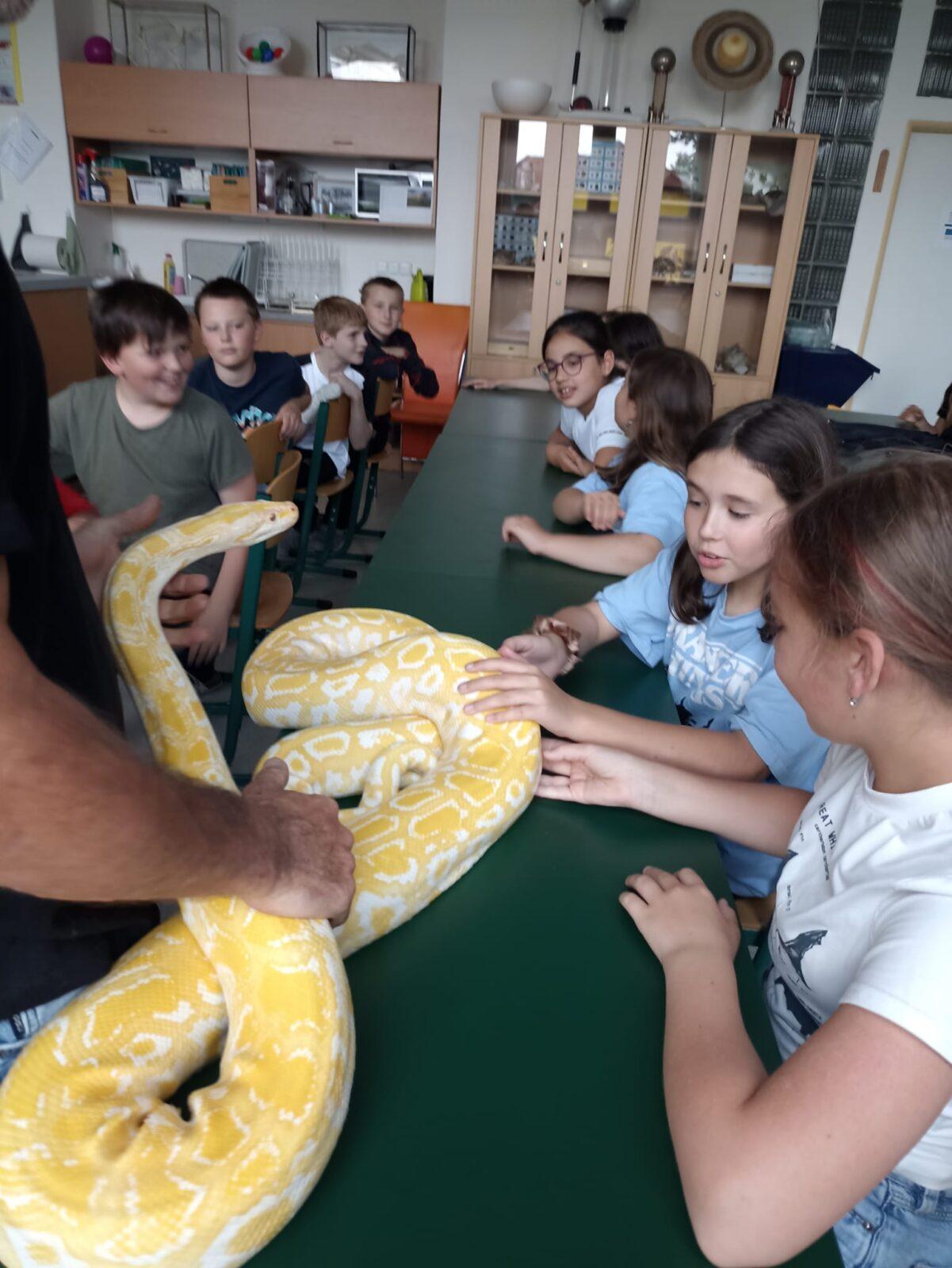 Exotická zvířata pro 3. a 4. třídu - 16