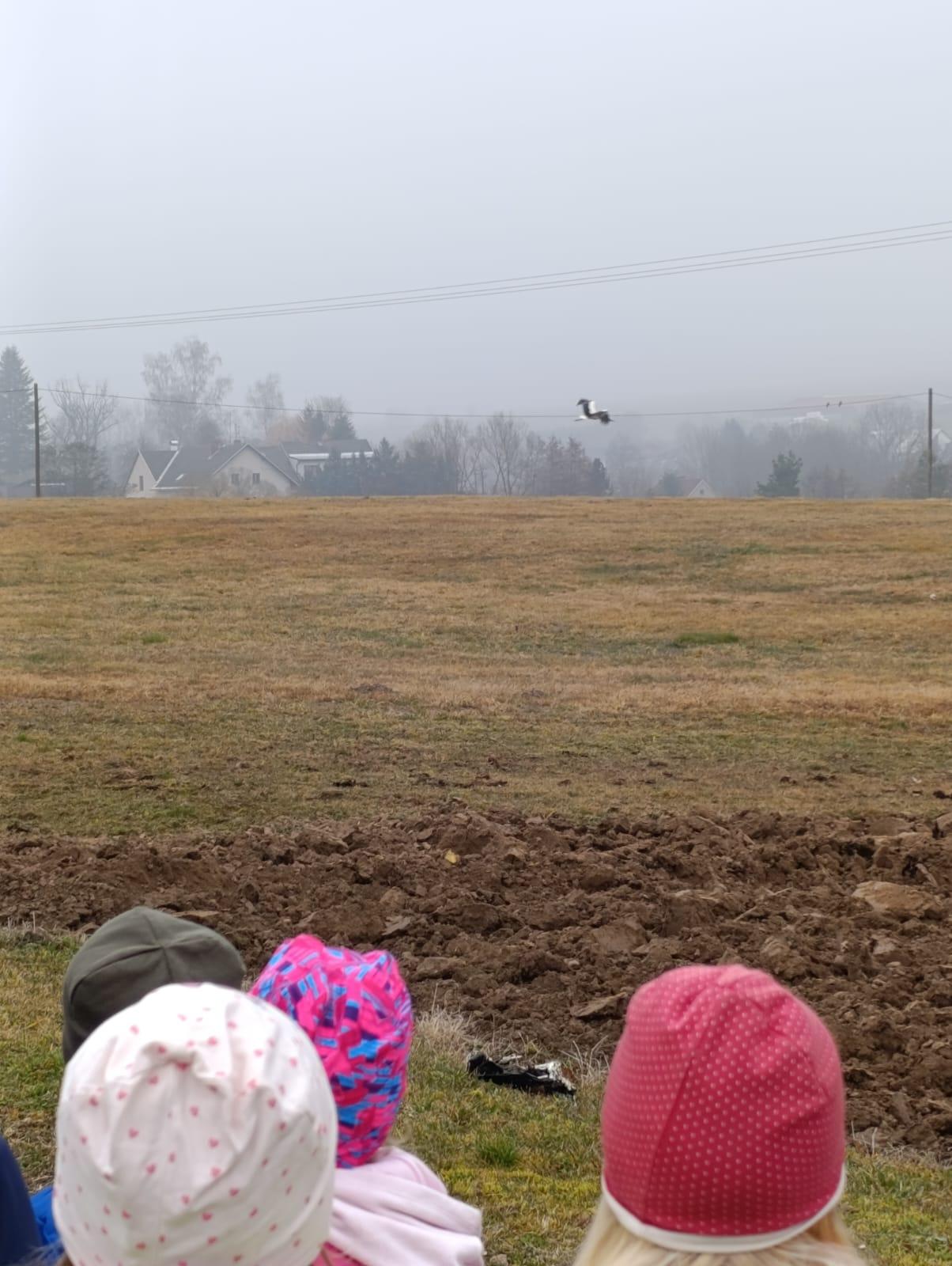 Broučci - Máme rádi zvířátka - 2