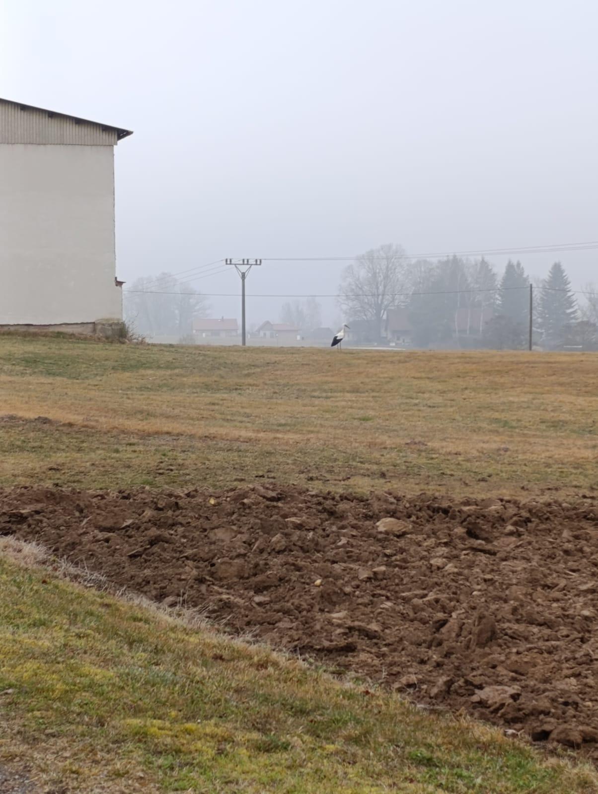 Broučci - Máme rádi zvířátka - 3