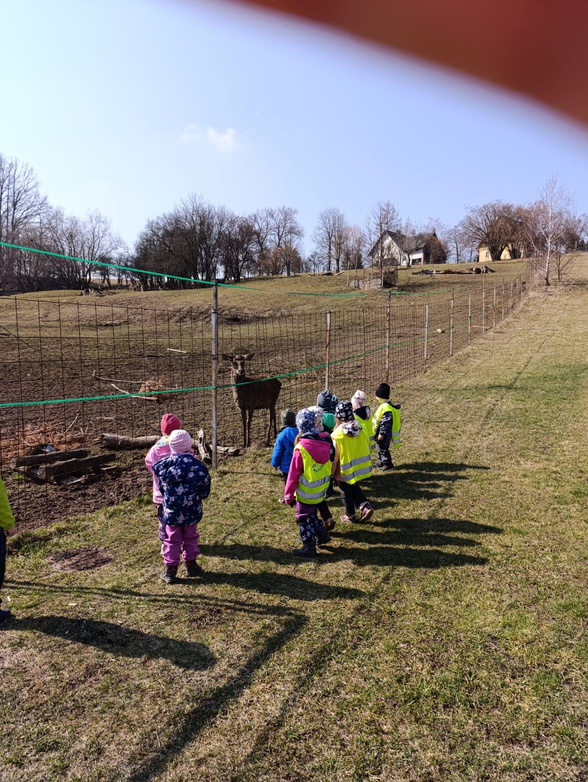 Broučci - Máme rádi zvířátka - 4