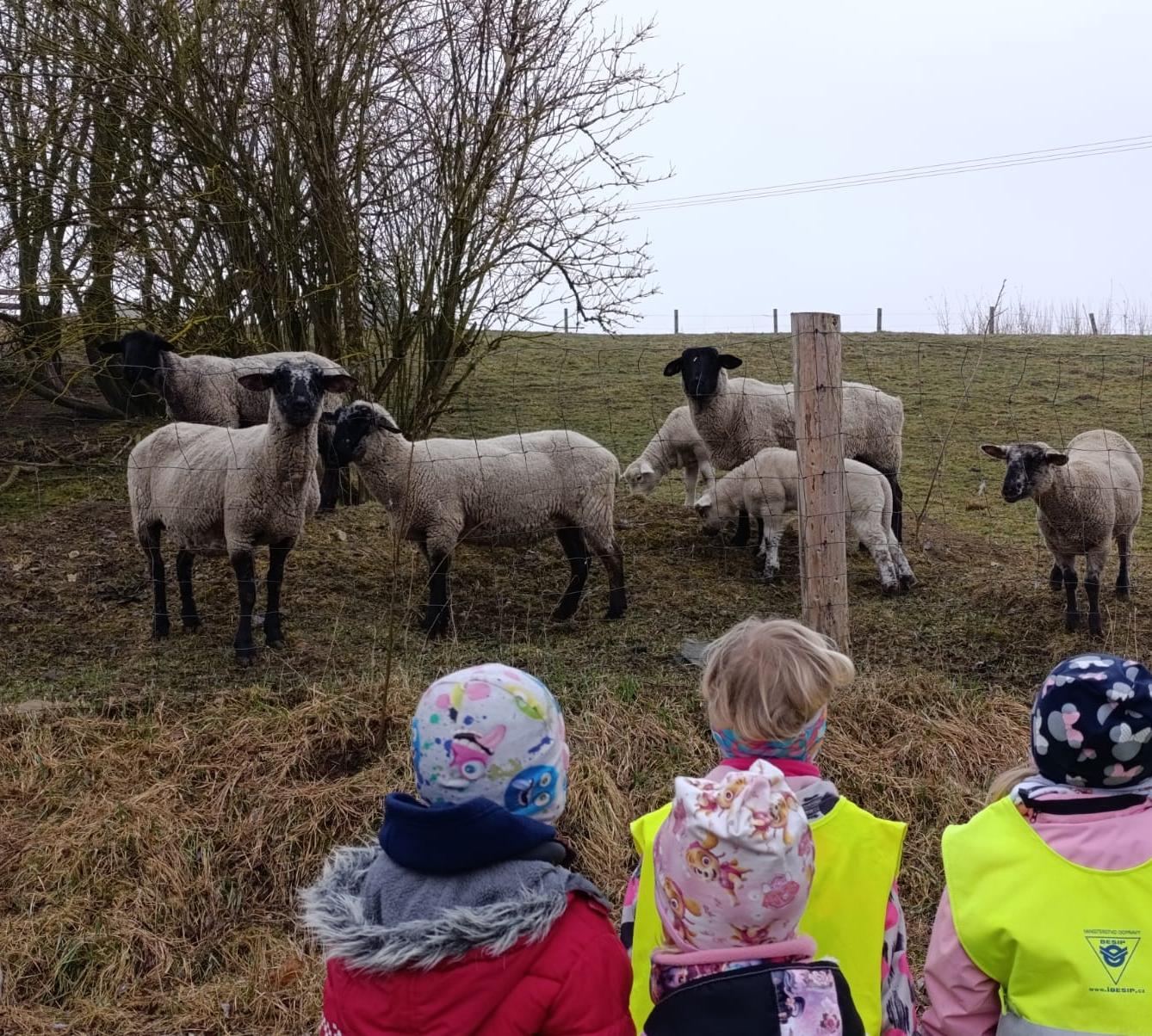 Broučci - Máme rádi zvířátka - 9