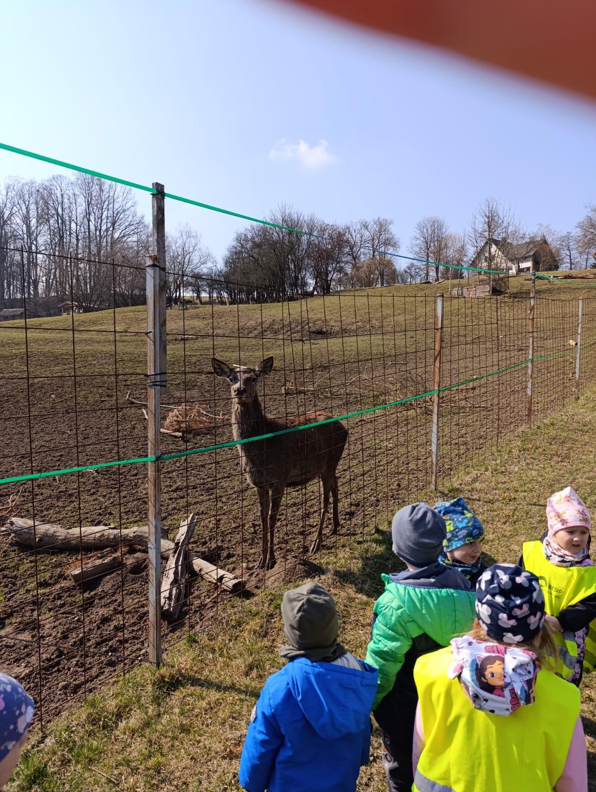 Broučci - Máme rádi zvířátka - 11