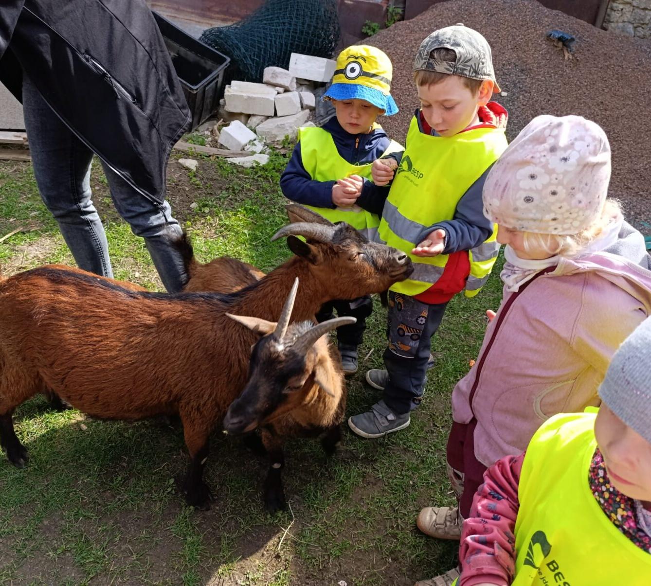 Broučci - Malované vajíčko - 4