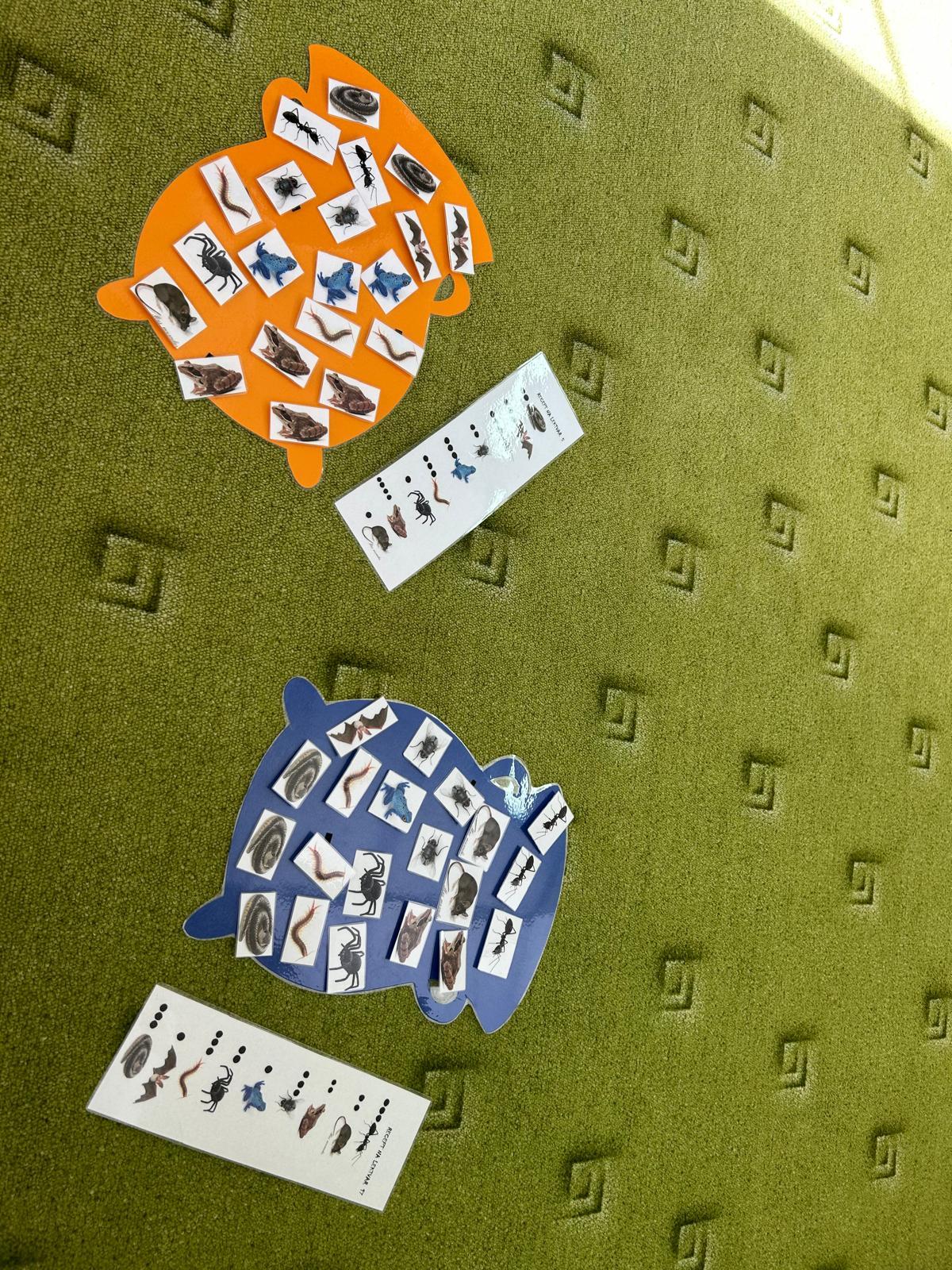 Čarodejnický rej - 8