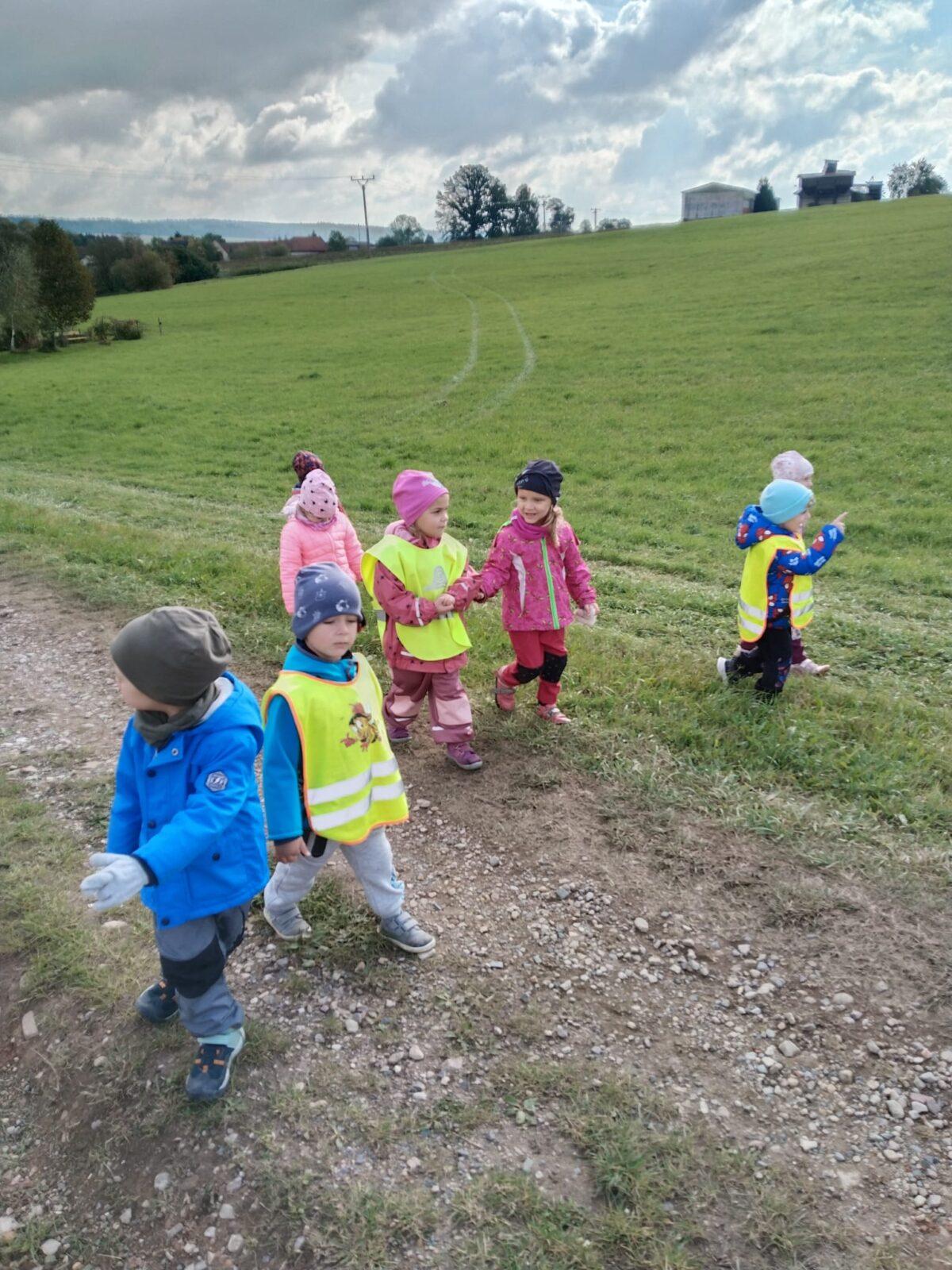 Broučci: poznáváme les - 8