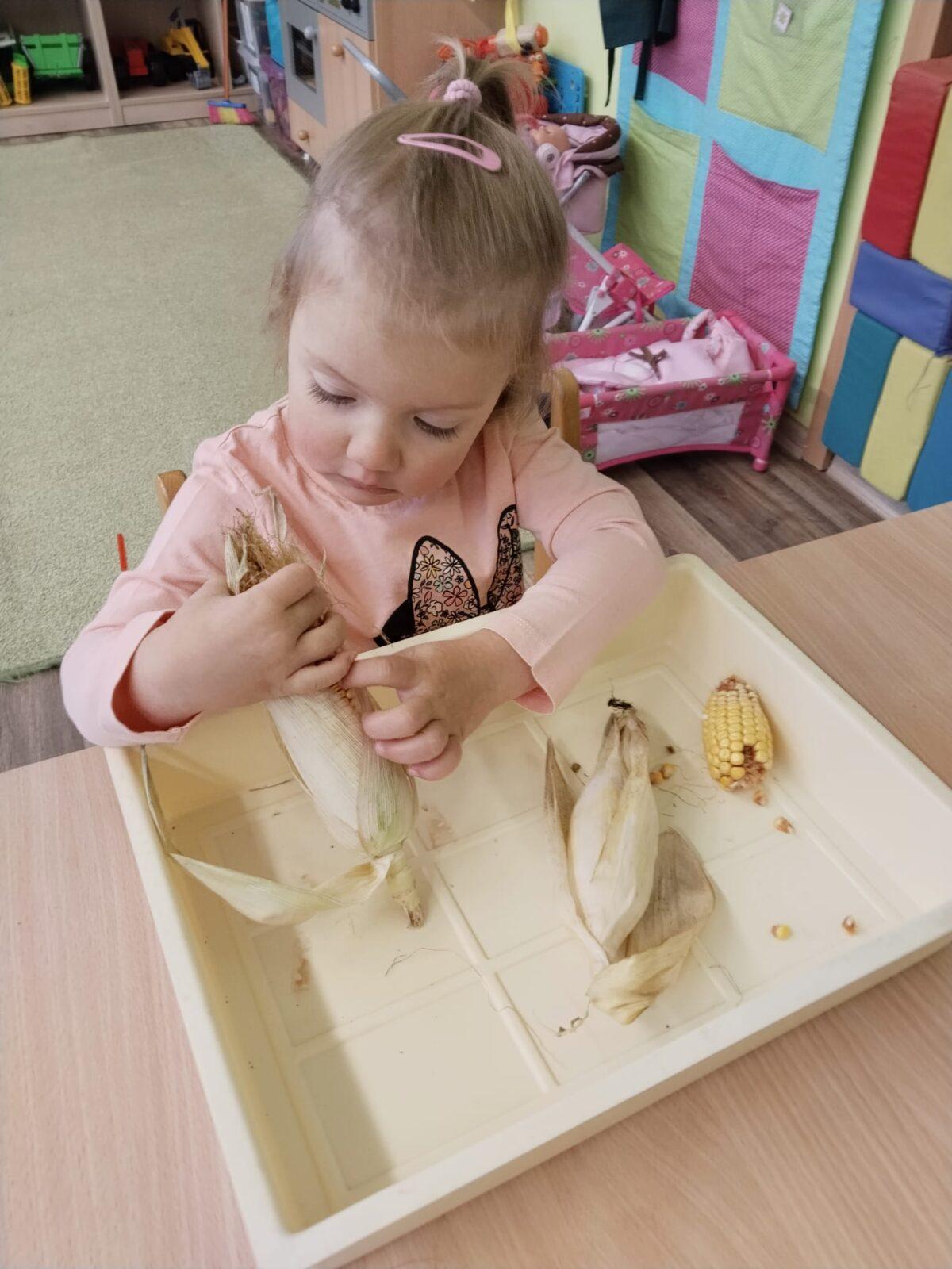 Broučci: poznáváme les - 14