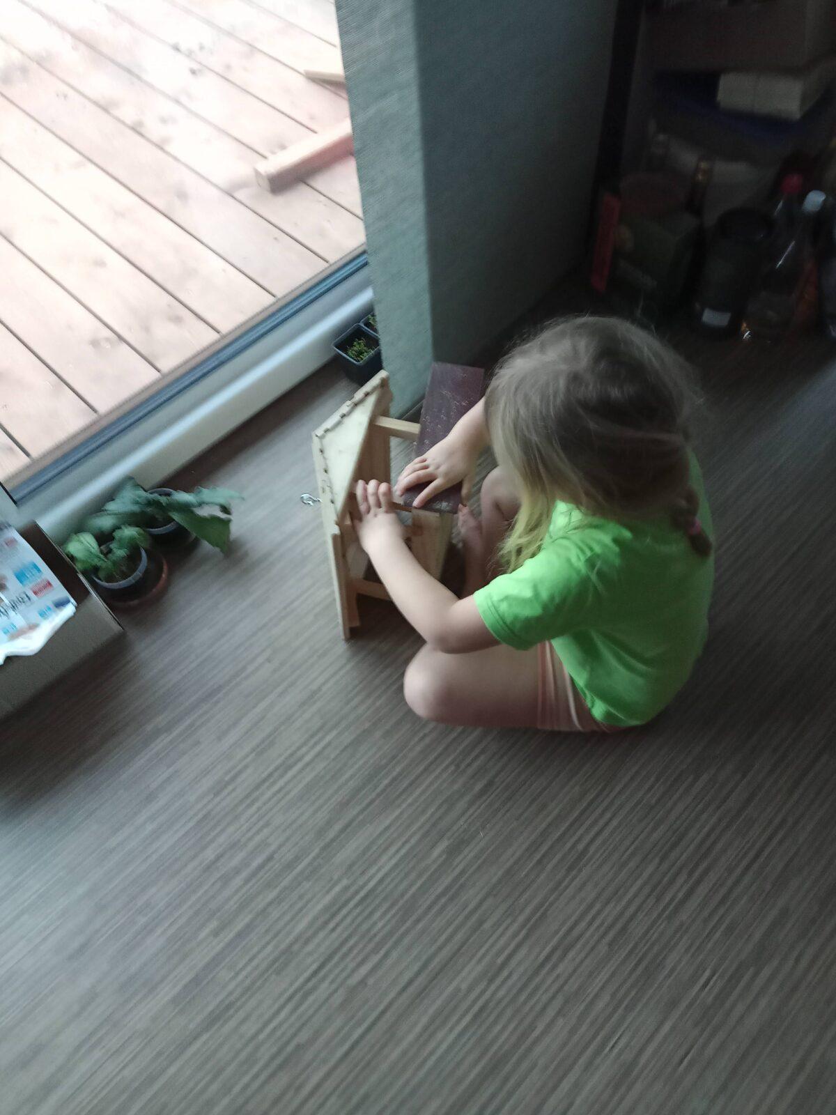 Krmítka pro ptáčky :-) - 11