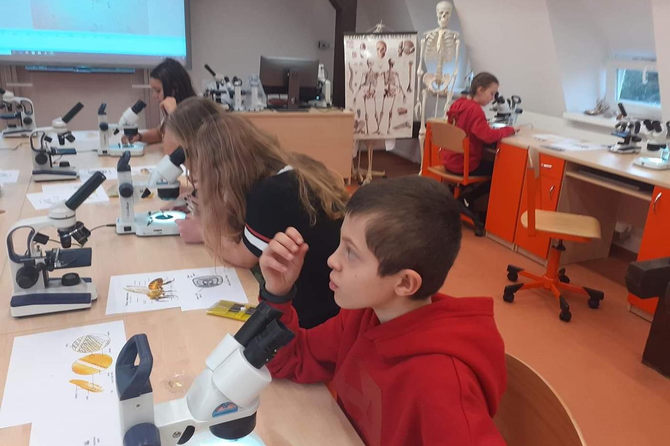 Základy mikroskopování - šesté třídy