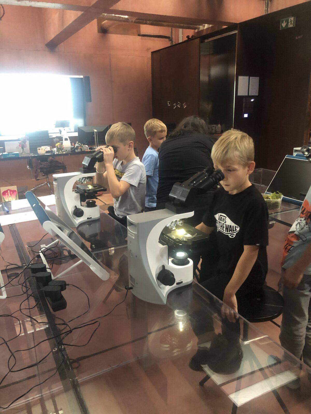 17. 9. Sféra Pardubice - 11