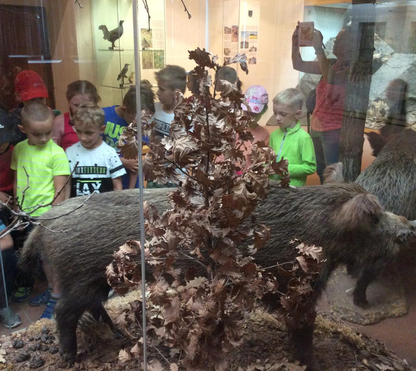 Školní výlet Pardubice - 4