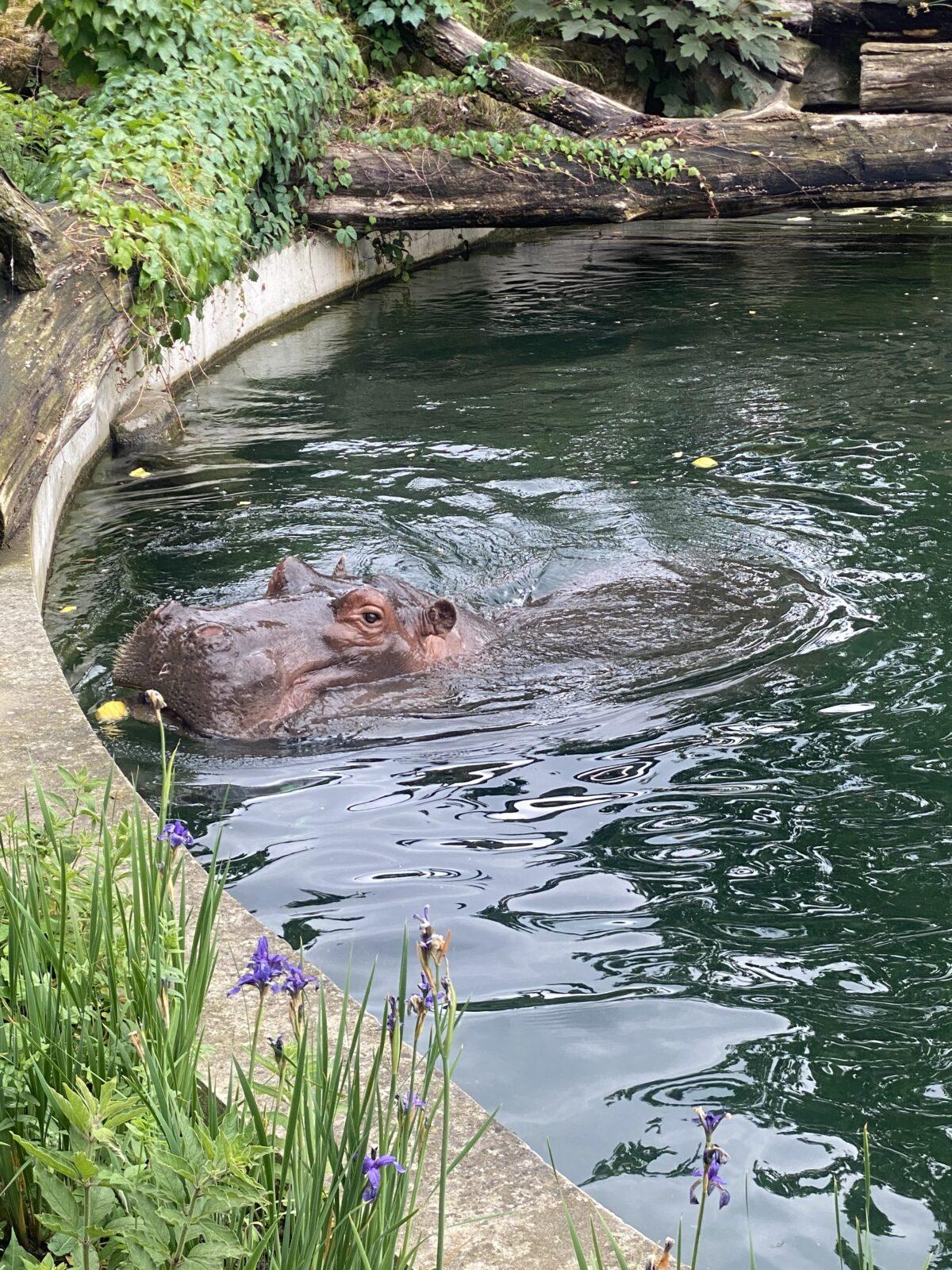 Školní výlet 7. B - 15