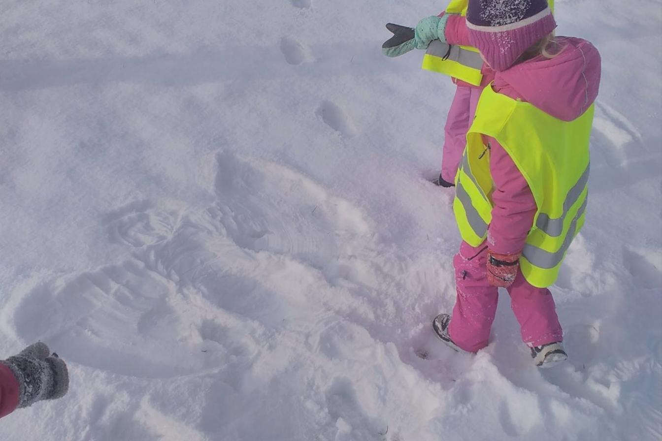 Vzpomínky na snížek