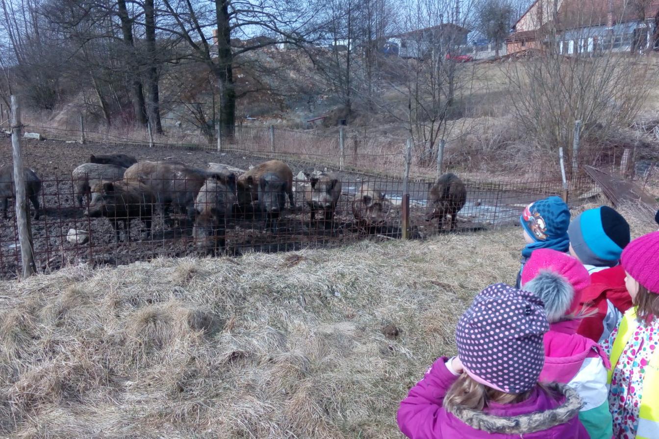 Vycházka za divokými prasaty (st. děti)