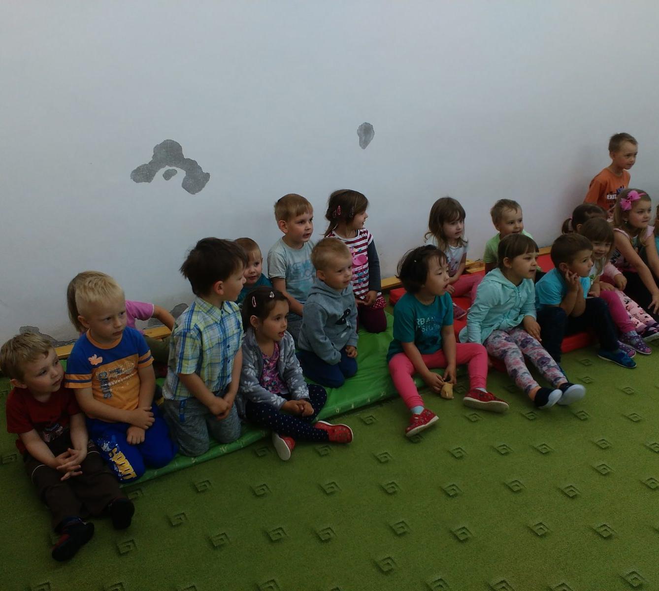 Papoušci ve školce - 1