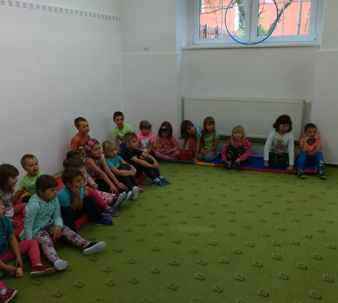 Papoušci ve školce - 2