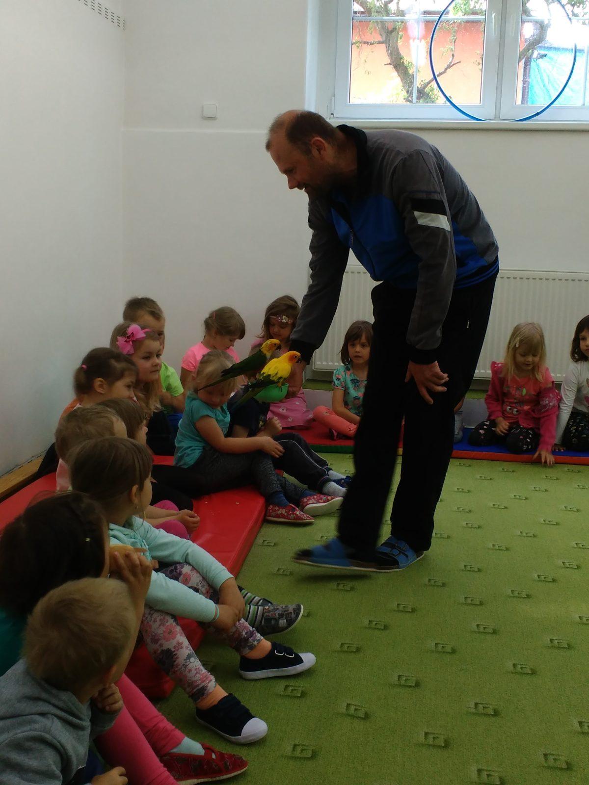 Papoušci ve školce - 7