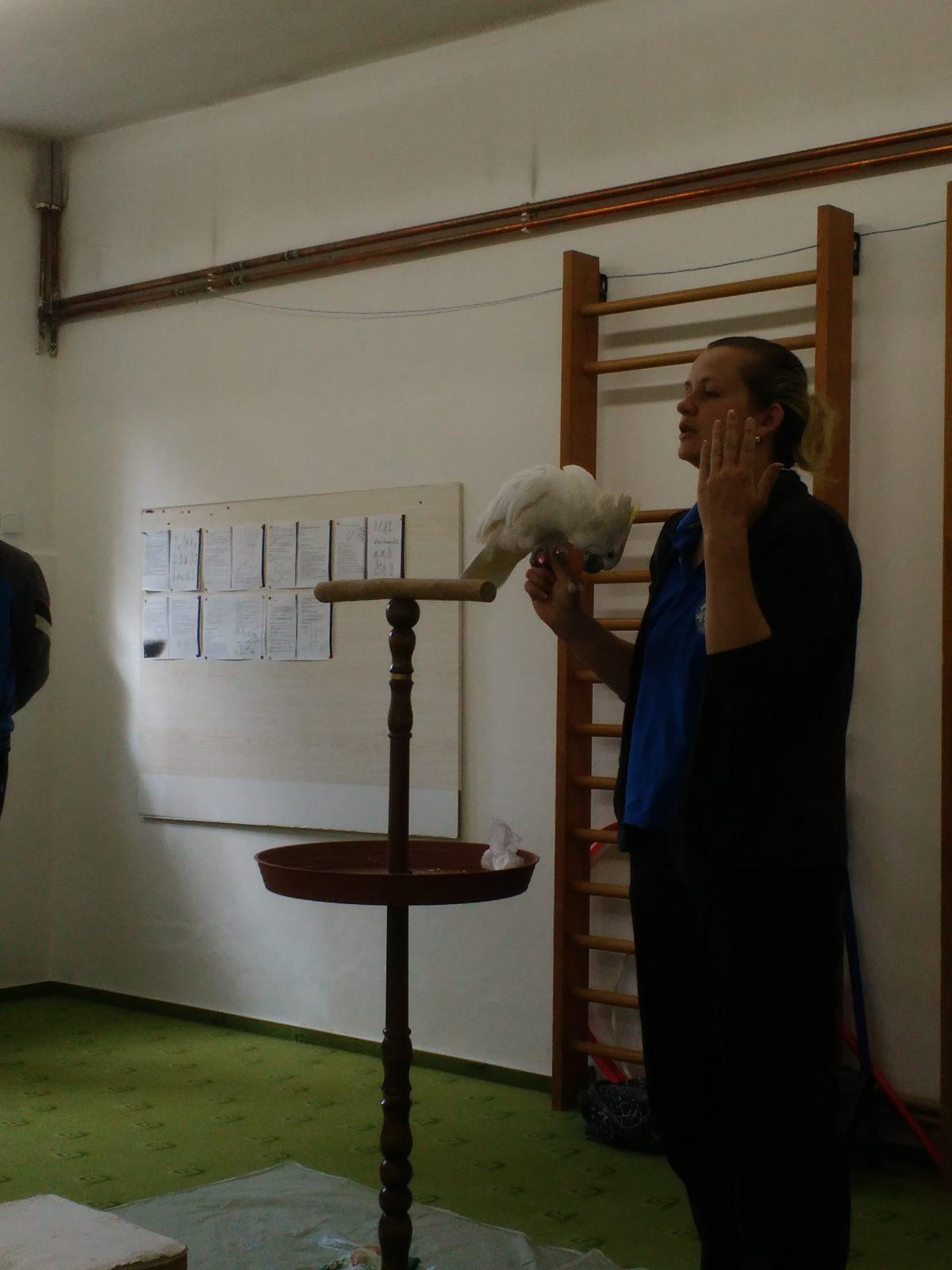 Papoušci ve školce - 14